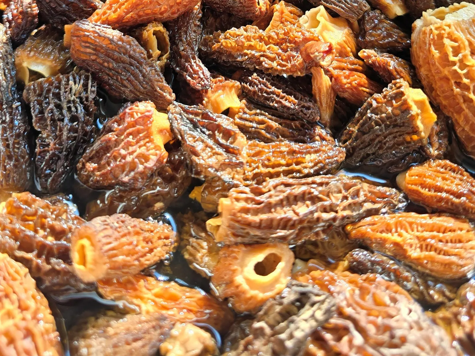 Plat du marché du chef